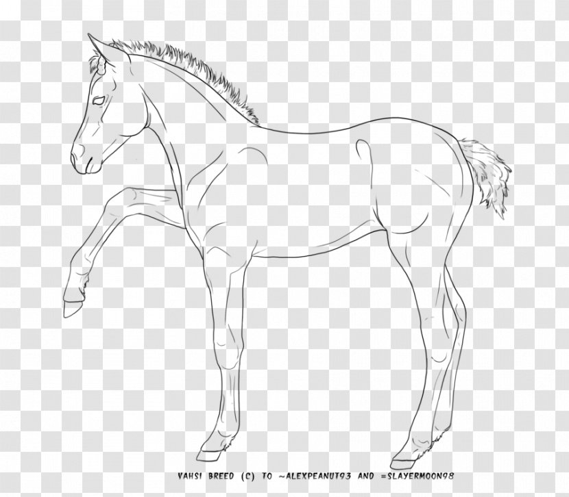 Mane Foal Pony Bridle Mustang - Florida Kraze Krush Soccer Club - Stallion Transparent PNG
