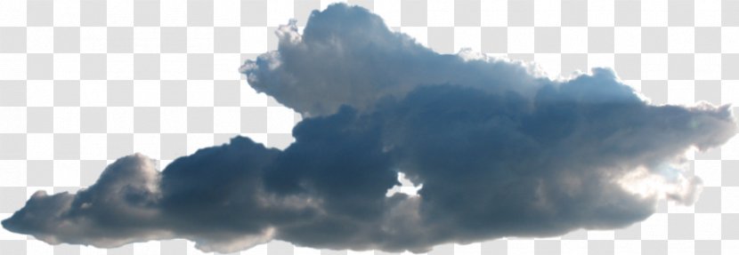 Sky Cumulus DeviantArt Cloud - Tree Transparent PNG