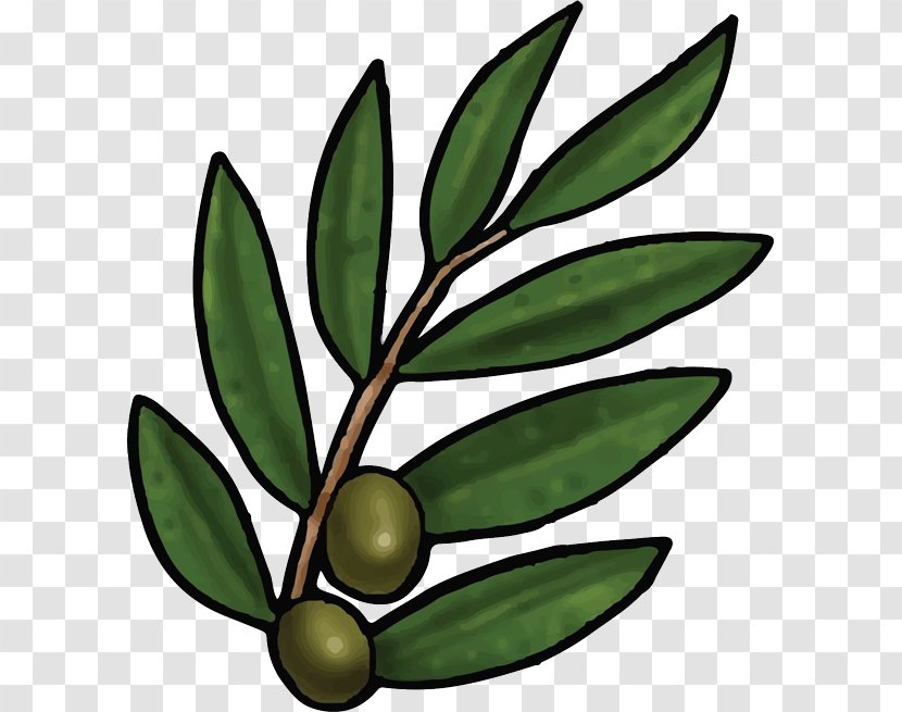 Bible Olive Leaf Branch - Fig Transparent PNG