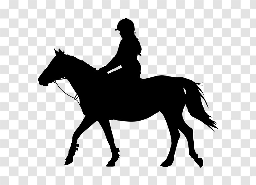 Horse&Rider Equestrian Silhouette Clip Art - English Riding - Horse Transparent PNG