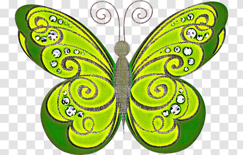 Butterfly Green Insect Moths And Butterflies Wing Transparent PNG