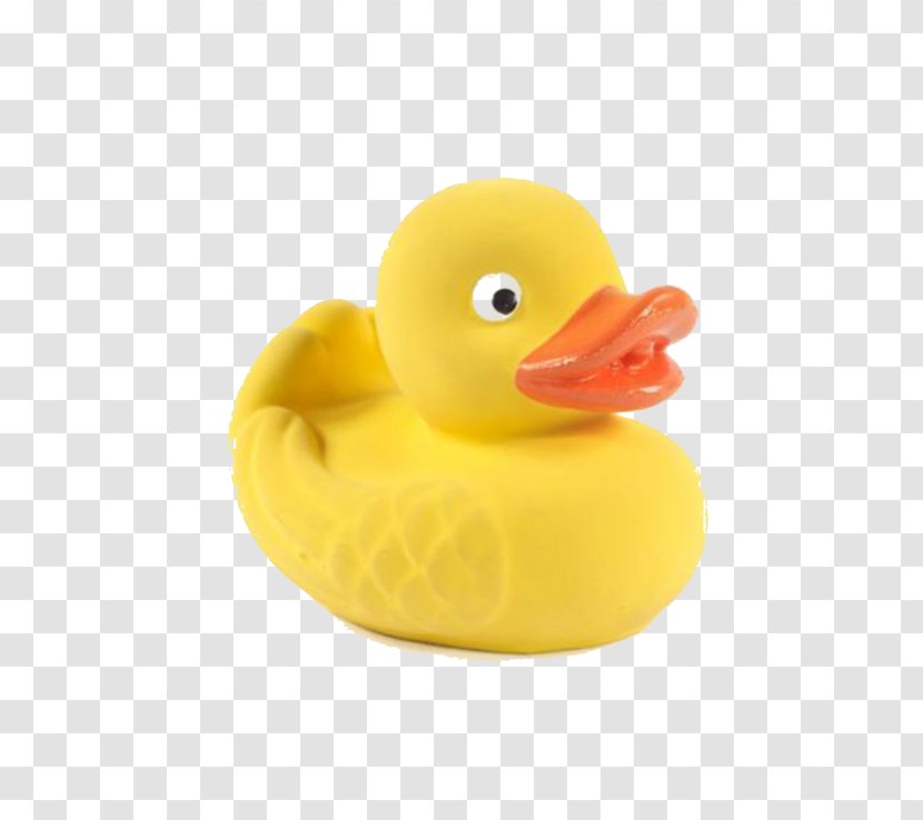 Rubber Duck Material Transparent PNG