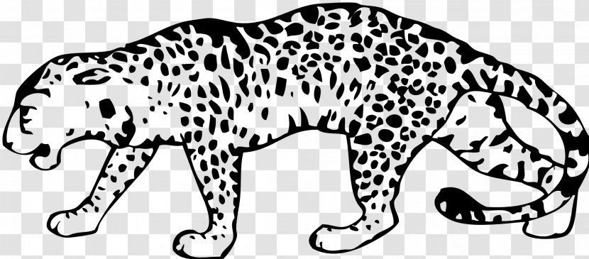 Leopard Clip Art Free Content Vector Graphics - Line - Bobcat Drawing Eurasian Lynx Transparent PNG