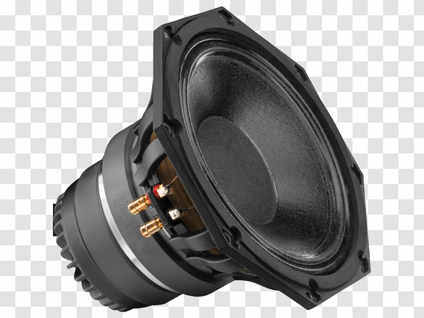 Horn Loudspeaker Subwoofer Audio Coaxial - Radiation Efficiency Transparent PNG