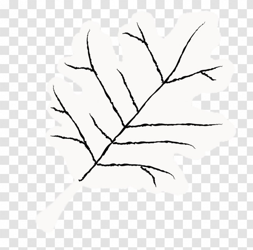 Twig Leaf Plant Stem Line Art Petal Transparent PNG