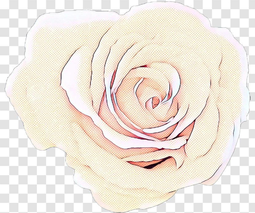 Pop Art Retro Vintage - Rose Order - Camellia Cut Flowers Transparent PNG