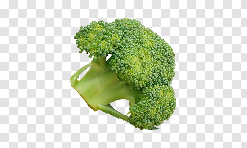 Broccoli Broccoflower Vegetable Rapini Transparent PNG