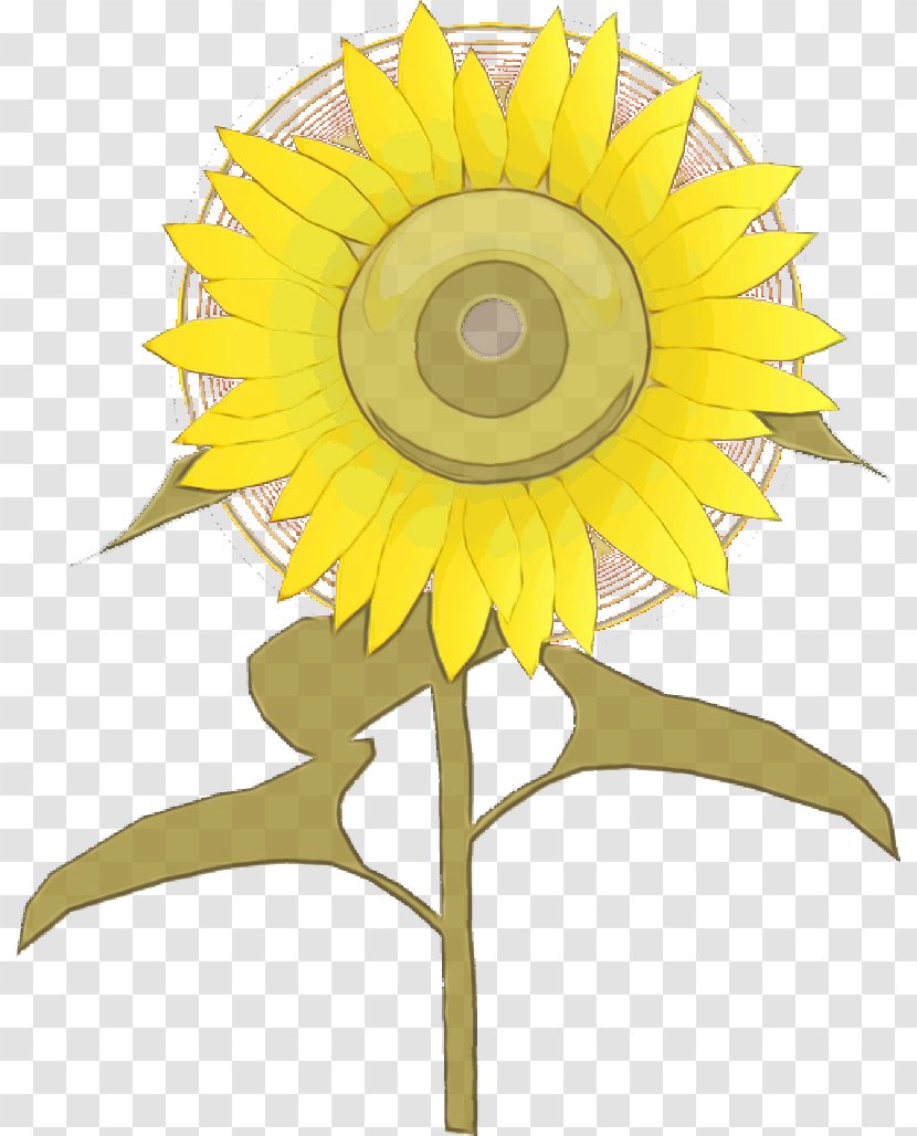 Drawing Of Family - Daisy - Pollen Transparent PNG