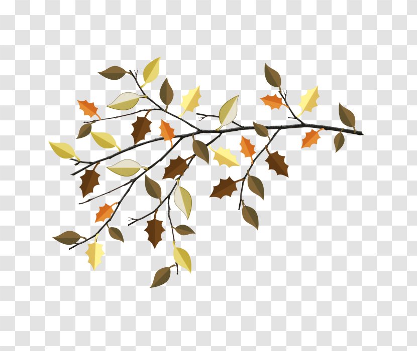 Maple Leaf Autumn - Branch Transparent PNG