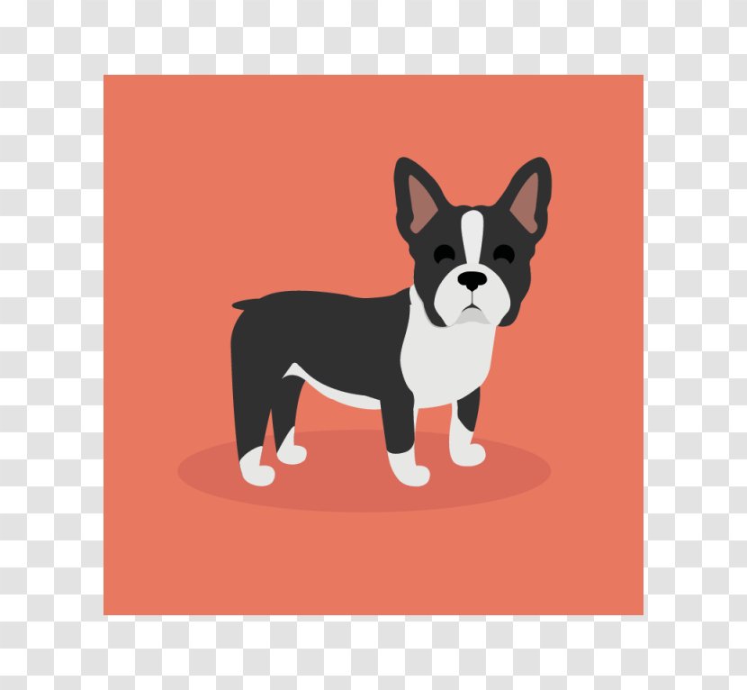 Boston Terrier French Bulldog Puppy Dog Breed West Highland White Transparent PNG