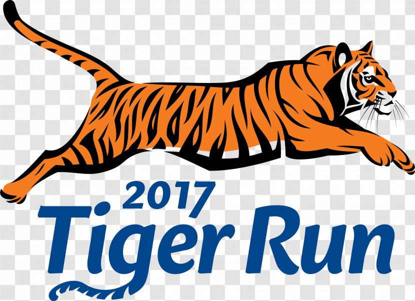 Newport Mill Middle School Buck Lodge Tiger Run 2017 - Colorful Transparent PNG