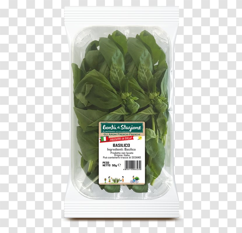 Vegetarian Cuisine Herb Leaf Vegetable Basil Hummus - Food Transparent PNG