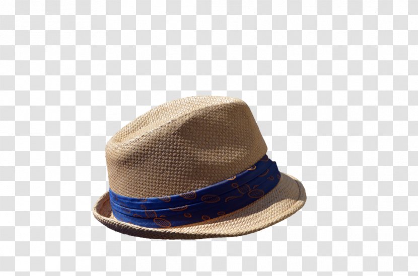 Headgear Hat Fedora Cap Brown - With A Blue Transparent PNG