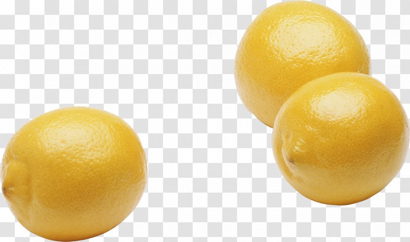 Lemon Clip Art - Citrus - Image Transparent PNG