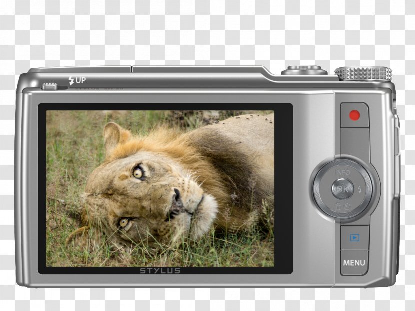Point-and-shoot Camera Olympus 16 Mp Photography - Pointandshoot Transparent PNG