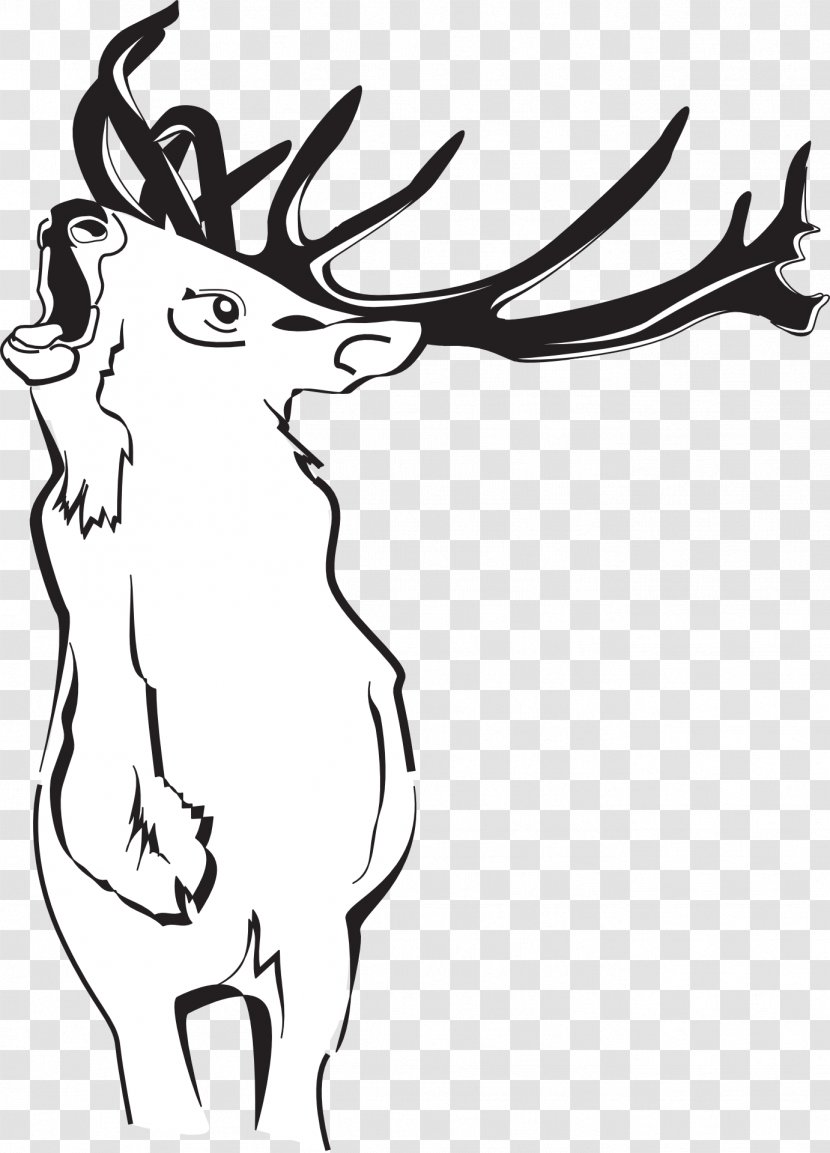 Reindeer Red Deer White-tailed Clip Art - Head Transparent PNG