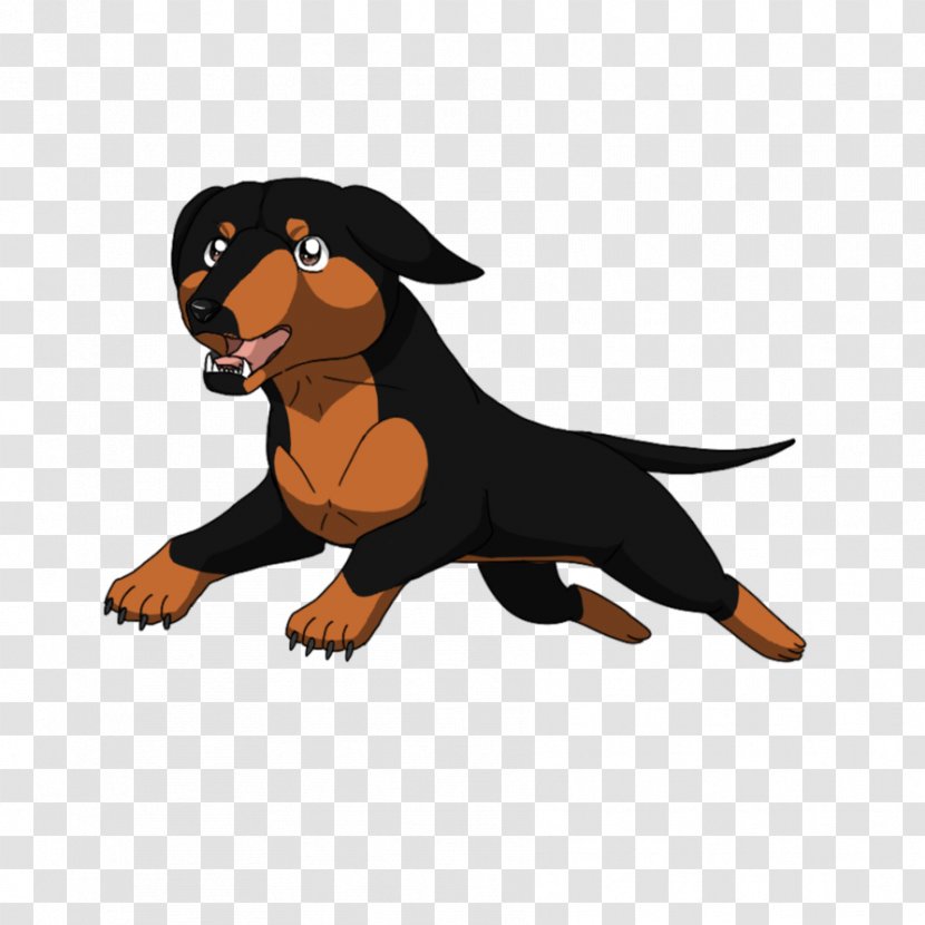 Puppy Dog Breed Animated Cartoon Transparent PNG
