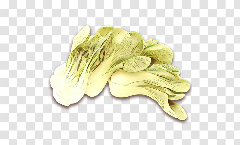 Yellow Plant Petal Flower Food Transparent PNG