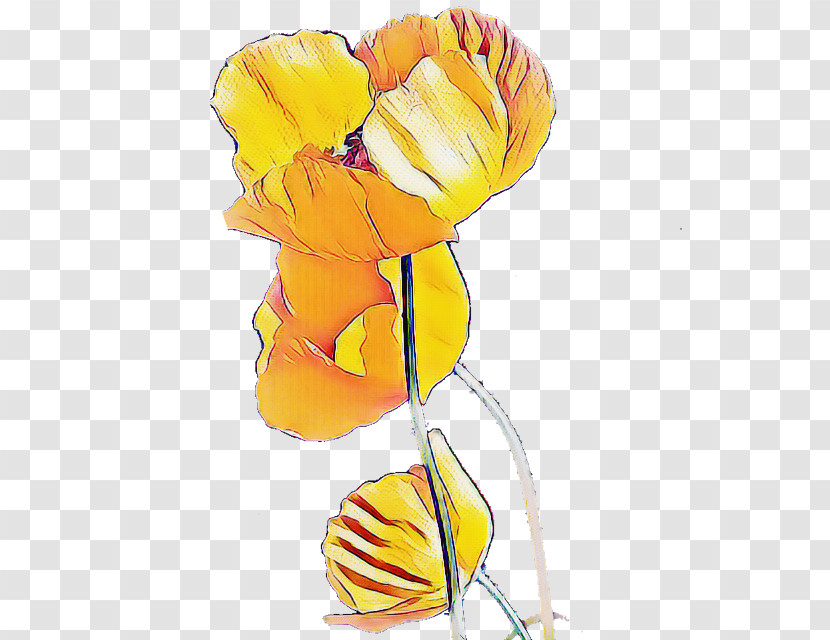 Yellow Cut Flowers Plant Tulip Transparent PNG