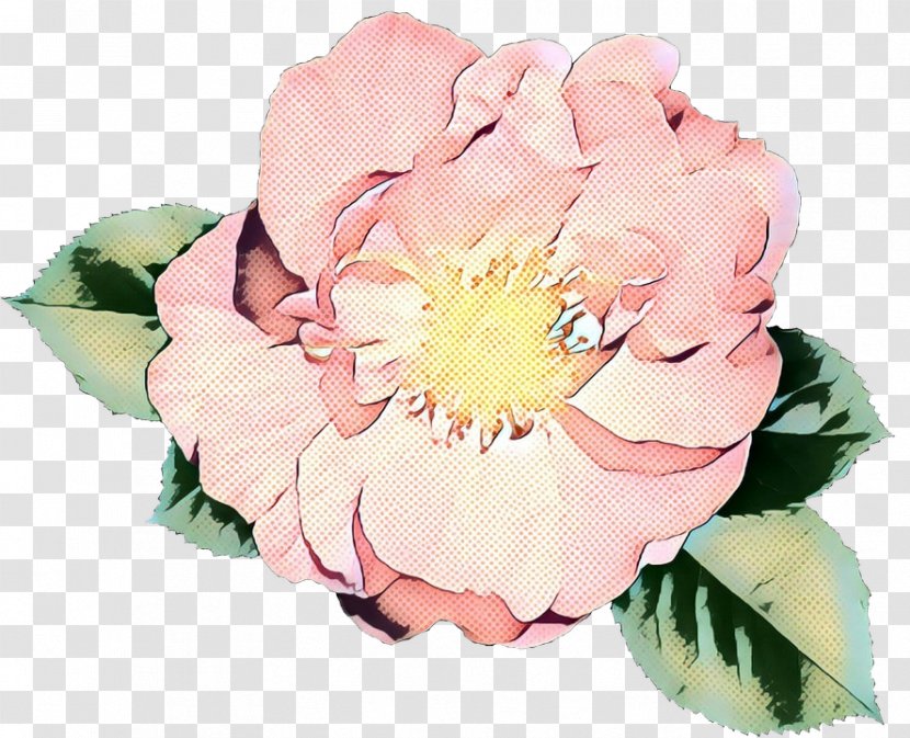 Pop Art Retro Vintage - Cabbage Rose - Begonia Perennial Plant Transparent PNG