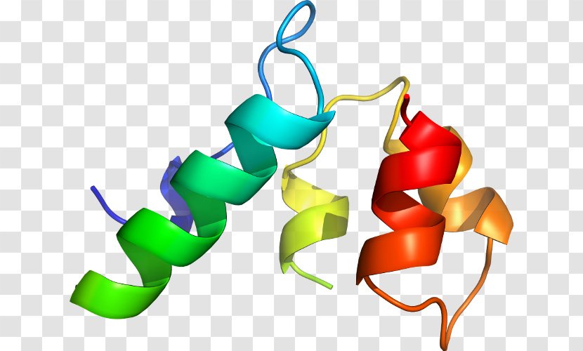 Clip Art Line - Artwork - P24 Capsid Protein Transparent PNG
