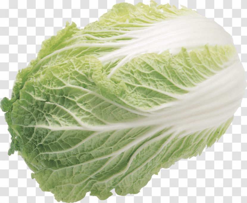 Chinese Cabbage Napa Vegetable Lettuce Choy Sum Transparent PNG