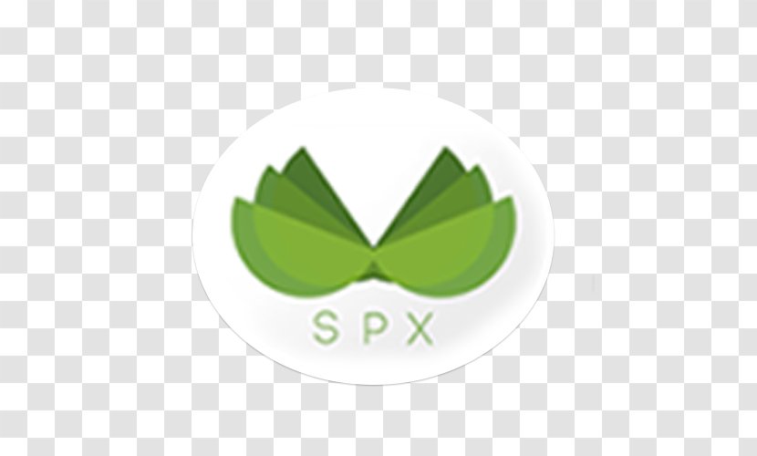 Logo Financial Plan Leaf Organization Investment - Green Transparent PNG