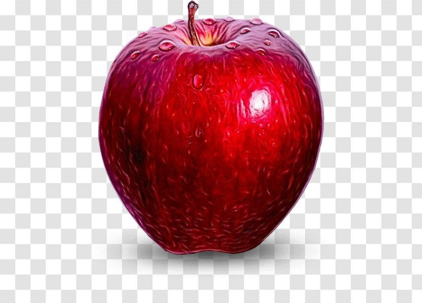 Apple Fruit Natural Foods Red Food - Wet Ink - Seedless Mcintosh Transparent PNG