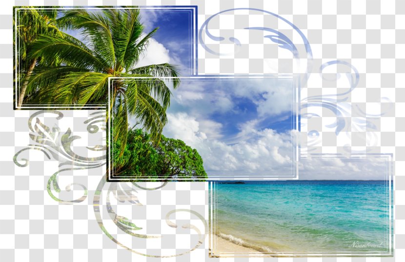 Background Frame Summer - Landscape - Coast Lagoon Transparent PNG