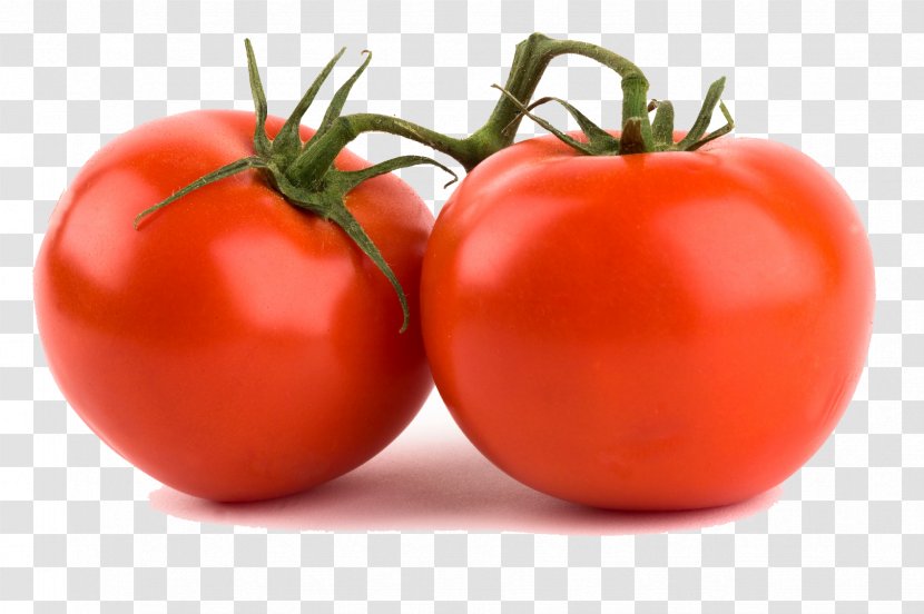 Tomato Vegetable Indian Cuisine Food Fruit - Diet Transparent PNG