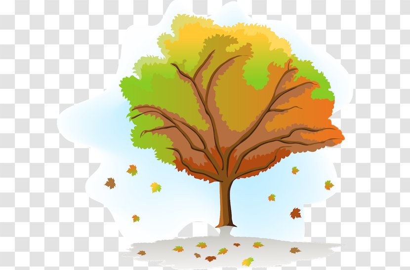 Vector Graphics Season Drawing Tree Clip Art - Woody Plant Transparent PNG