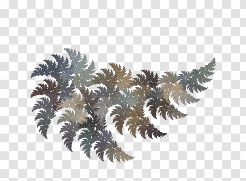 Pine Leaf Conifer Cone Clip Art - Petal Transparent PNG