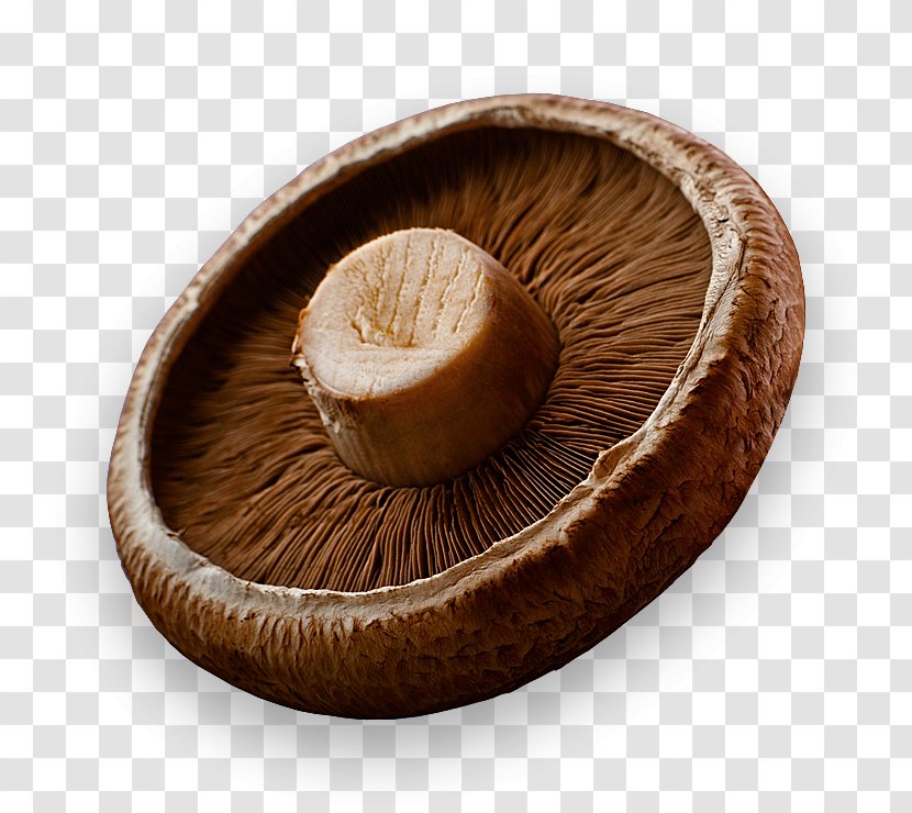 Common Mushroom B Vitamins Biotin Dietary Supplement - Health - Shiitake Transparent PNG