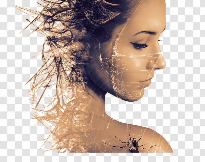 Spider Photography Multiple Exposure - Art - Covered Silk Beauty In Profile Transparent PNG
