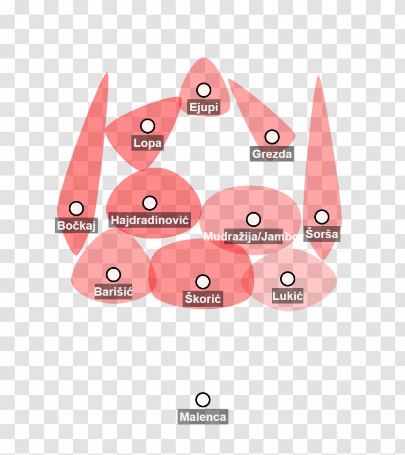 Brand - Diagram - Design Transparent PNG