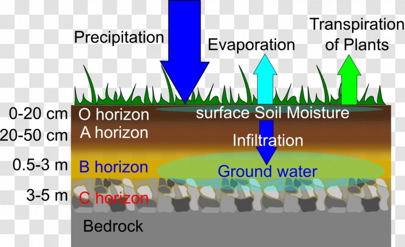 Brand Font - Grass - Soil Moisture Active Passive Transparent PNG