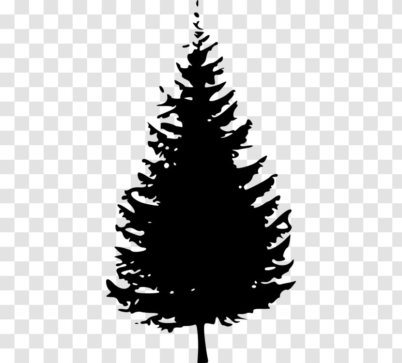 Christmas Black And White - Tree - Vascular Plant Blackandwhite Transparent PNG