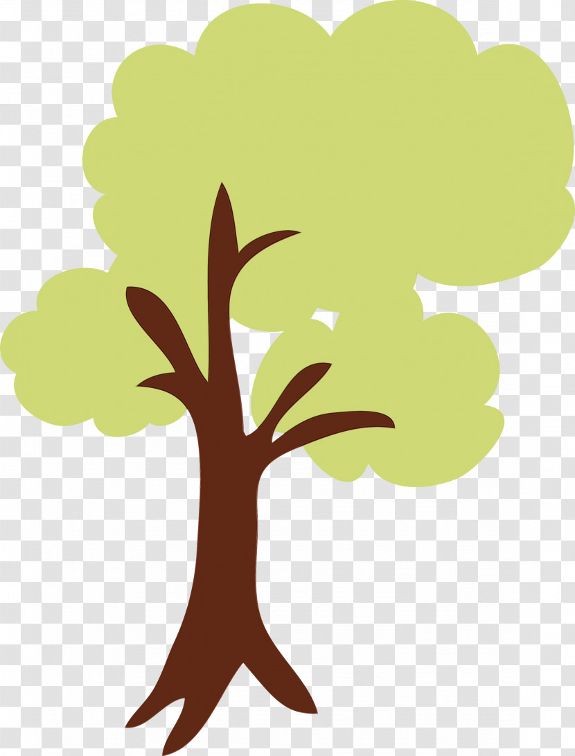 Leaf Tree Plant Branch Plant Stem Transparent PNG