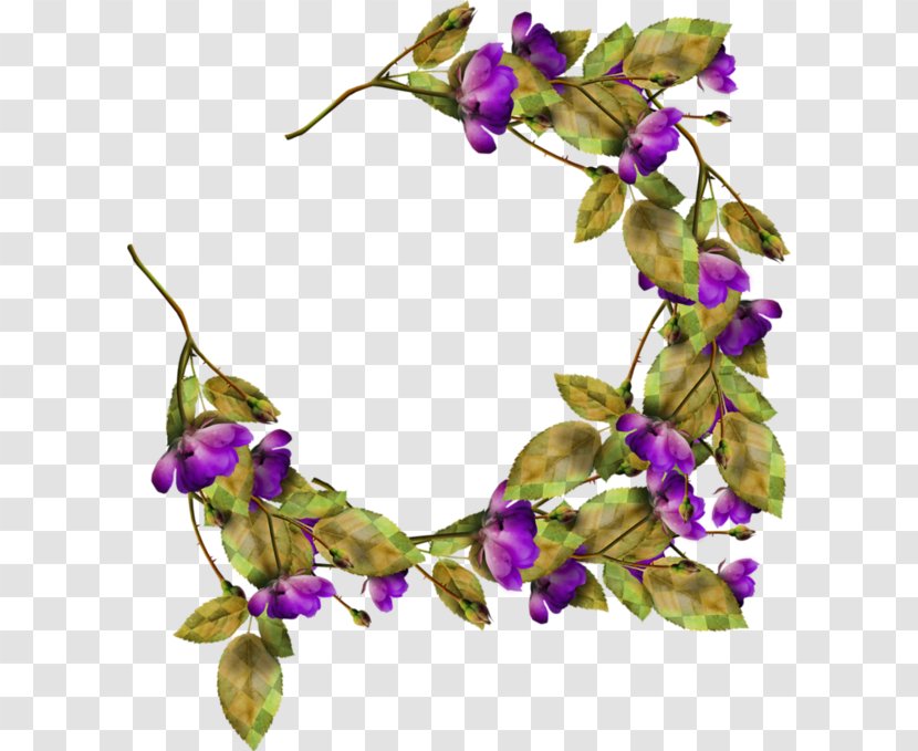 Violet Family Hair Clothing Accessories - Branch Transparent PNG