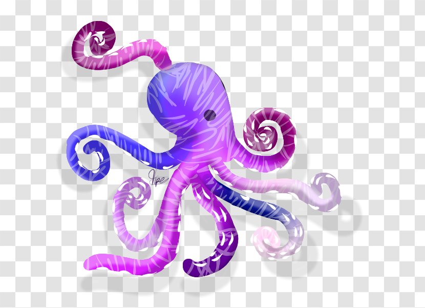 Octopus - Invertebrate - Drawing Transparent PNG