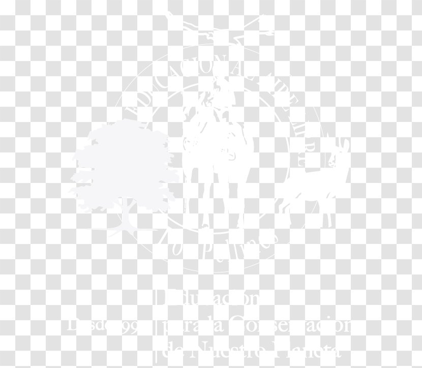 Minnesota White Desktop Wallpaper - Black And - Computer Transparent PNG