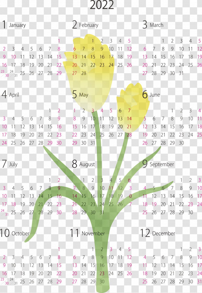 Flower Calendar System Meter Font Plant Transparent PNG