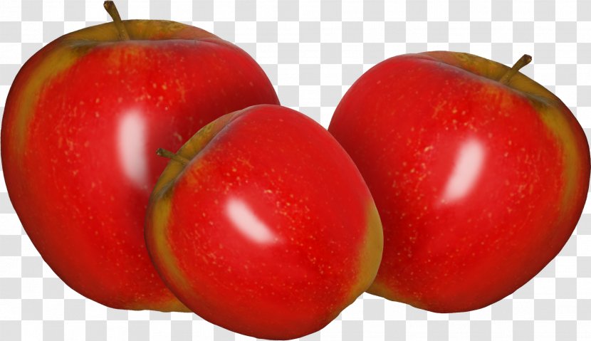 Apple Fruit Auglis Photography - Bush Tomato - Red Transparent PNG