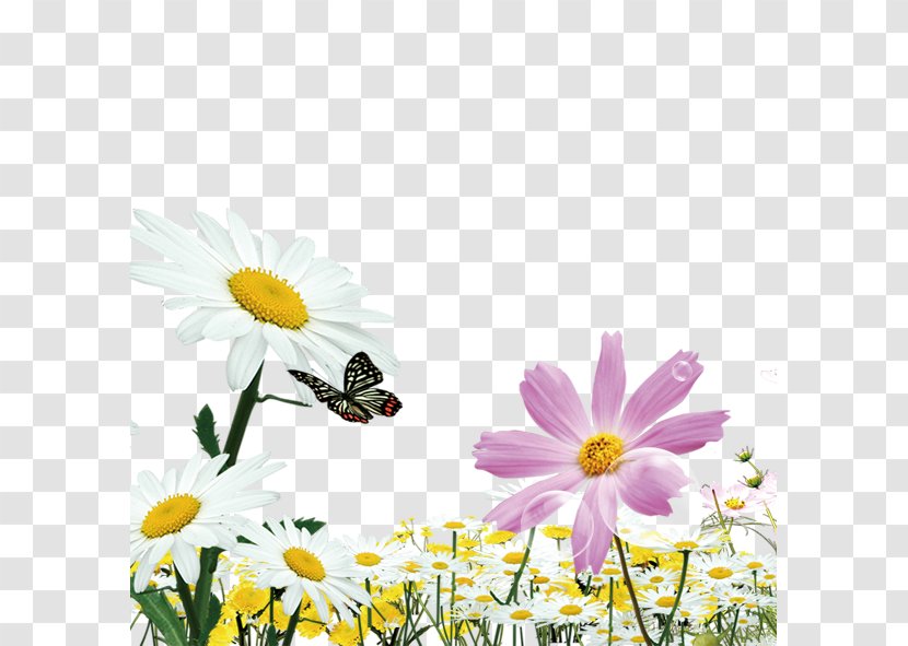 Butterfly Natural Environment Euclidean Vector Computer File - Garden Cosmos - Floating Flowers Transparent PNG