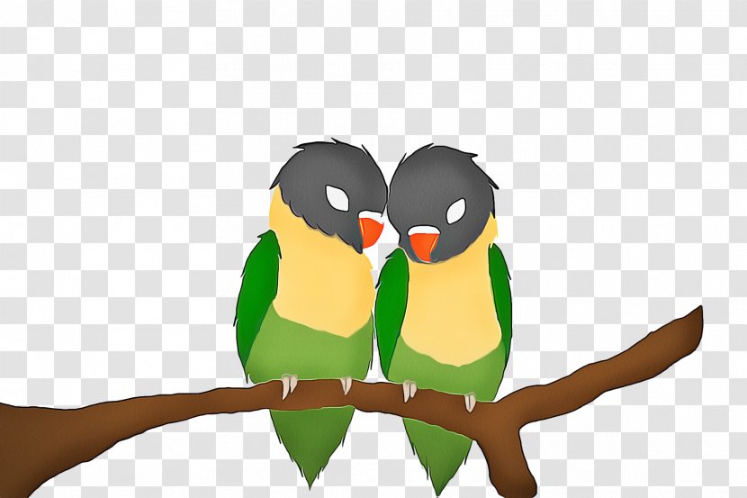 Bird Green Beak Parrot Cartoon - Branch Transparent PNG