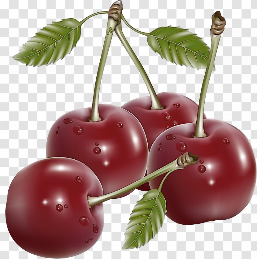 Cherry Fruit Transparent PNG