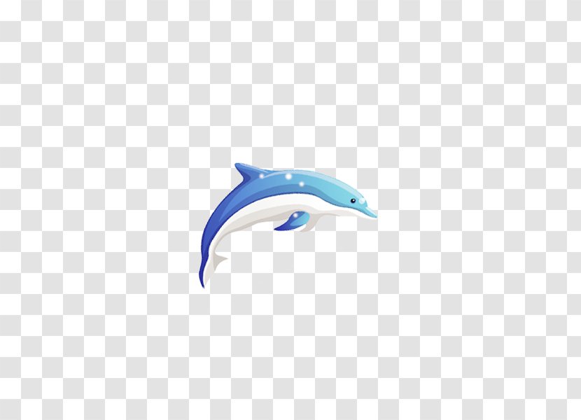 Dolphin Cartoon Wallpaper - Aqua Transparent PNG