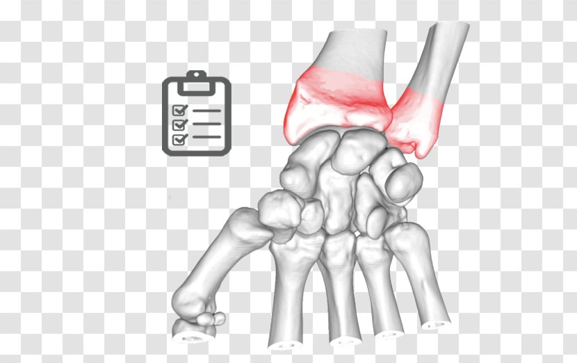 Thumb Elbow Bone Ulnar Nerve Joint - Cartoon - Stale Transparent PNG