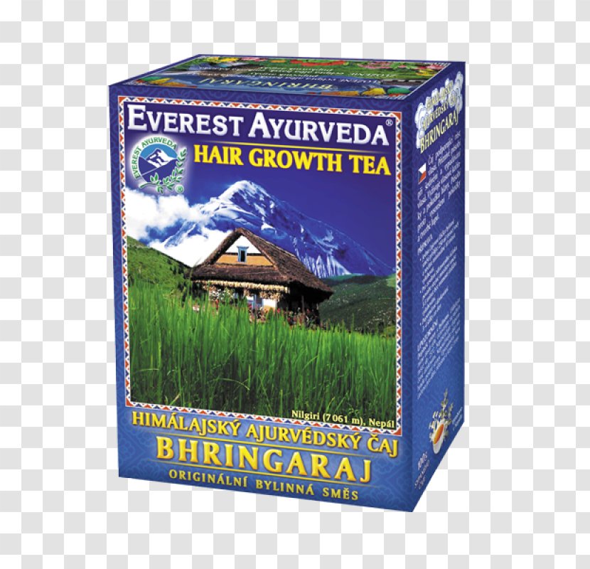 Ayurveda Tea False Daisy Himalayas The Himalaya Drug Company Transparent PNG
