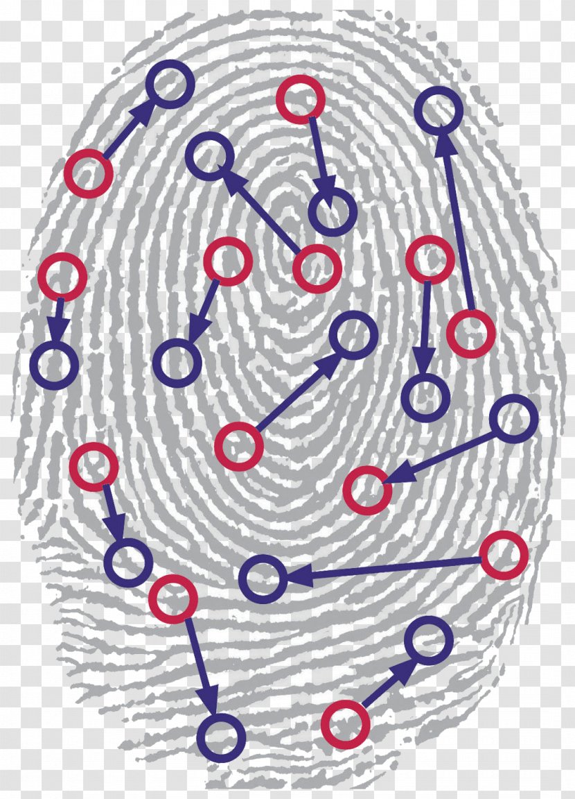 Biometrics Automated Fingerprint Identification Biometric Passport - Drawing - Symmetry Transparent PNG